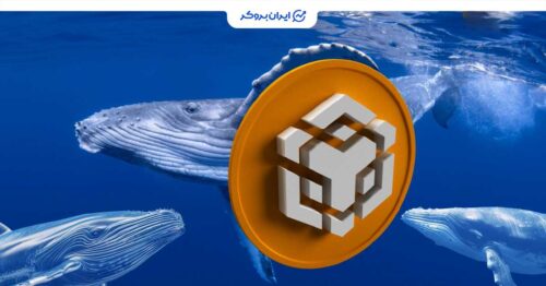 bnb whales