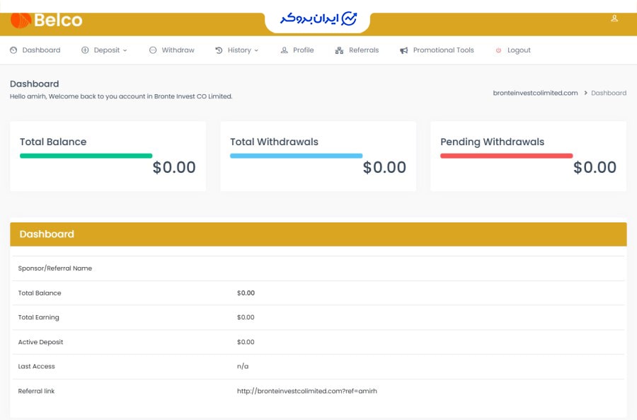 User dashboard with incorrect information at BRONTE INVEST CO LIMITED
