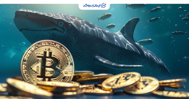 خرید روزانه ۳۰۰ بیت‌ کوین در ریزش بازار توسط نهنگ صرافی بیت‌ فینکس