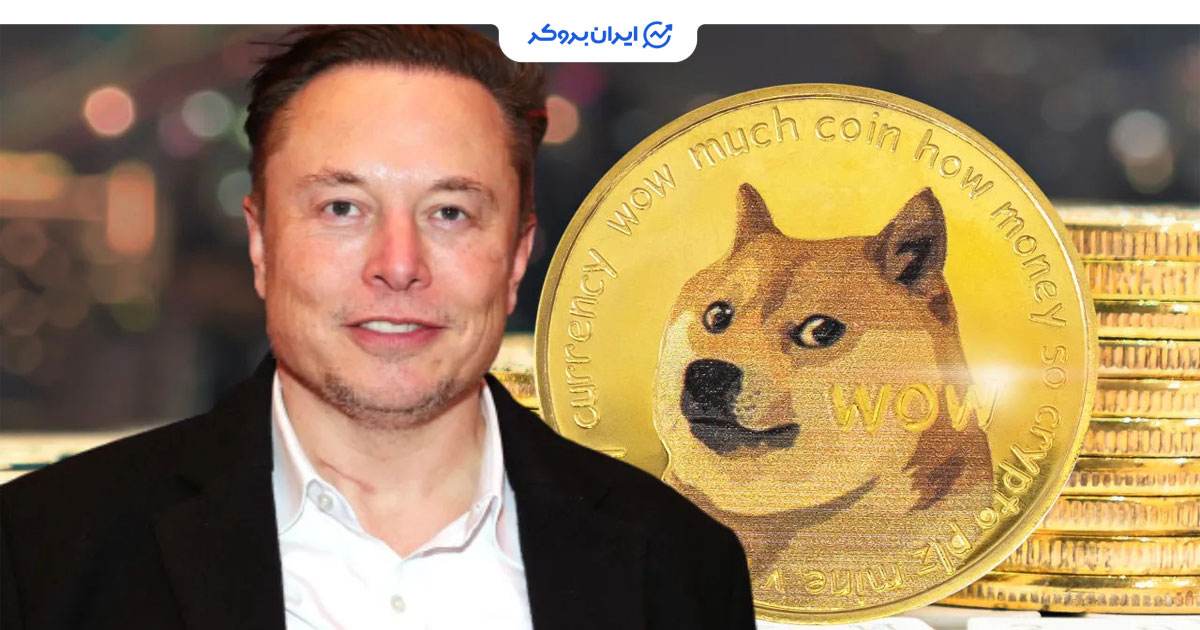 سرمایه گذاری doge و وکیل ایلان ماسک