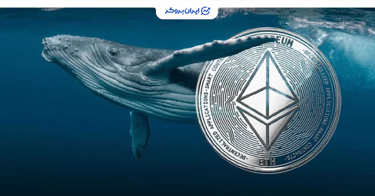 eth whale 4