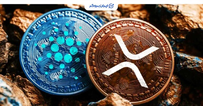 حمله نهنگ‌ها به ریپل و کاردانو؛ خرید میلیون‌ها دلار آلت‌ کوین در میانه سقوط بازار!