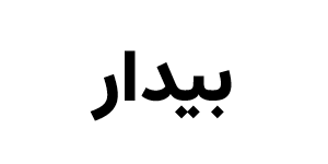 صندوق سرمایه گذاری سهامی اهرمی بیدار