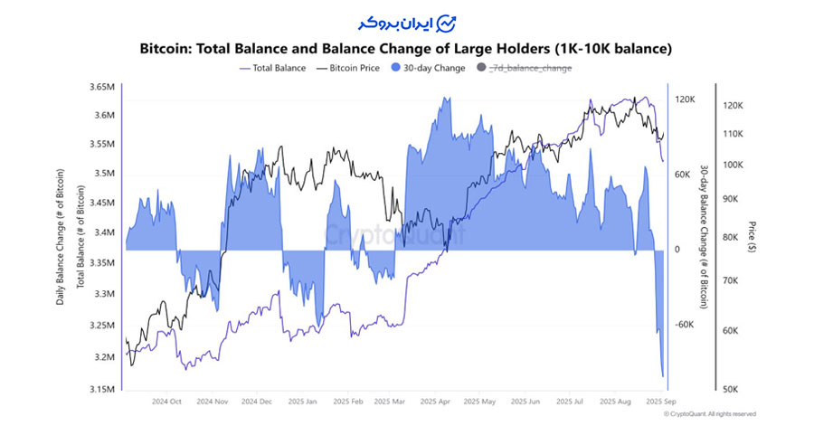 هولدرهای بزرگ بیت کوین