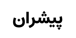 صندوق سرمایه گذاری سهامی اهرمی پیشران پارسیان
