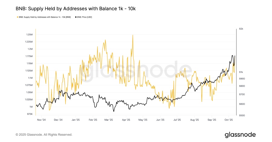 کیف پول هایی که بین ۱،۰۰۰ تا ۱۰،۰۰۰ توکنبایننس کوین در اختیار دارند