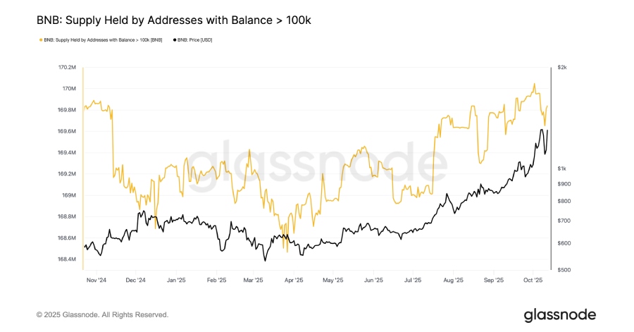 آدرس هایی که بیش از ۱۰۰،۰۰۰ BNB در اختیار دارند