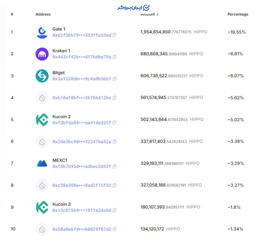 10 هولدر برتر میم کوین هیپو