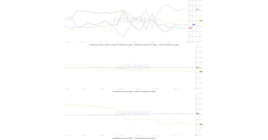 تحلیل داده های آنچین و سنتیمنت در بازار میم کوین ها