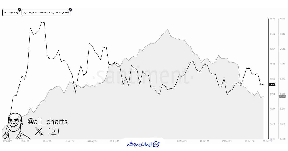 نهنگ های ریپل