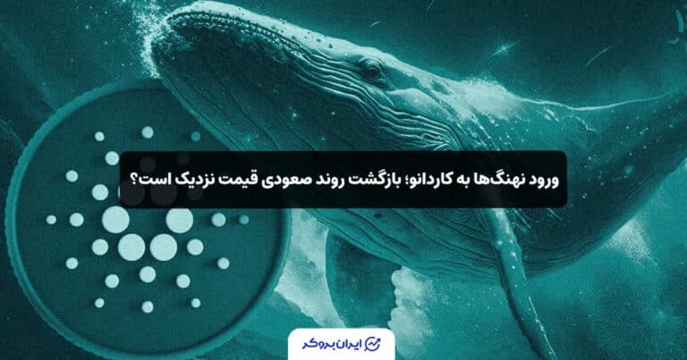 ورود نهنگ‌ها به کاردانو؛ بازگشت روند صعودی قیمت ADA نزدیک است؟