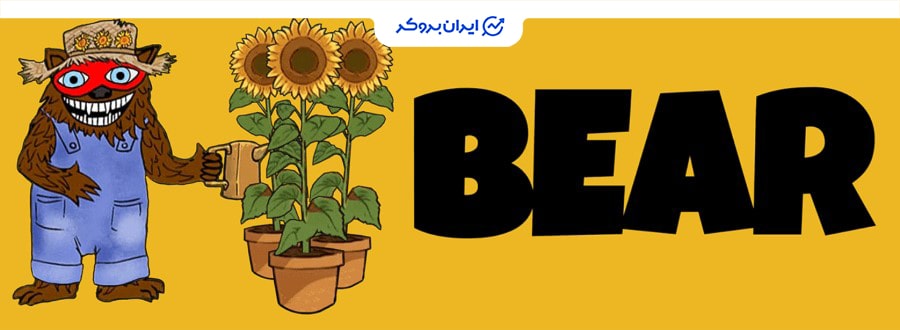 bear میم کوین ریپل