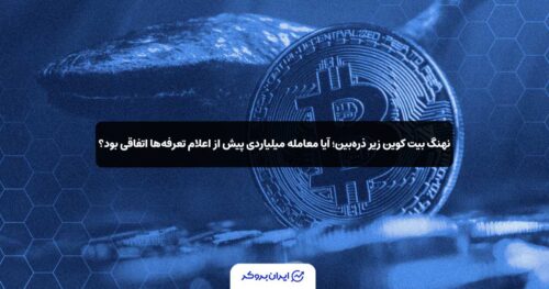 btc whale 4