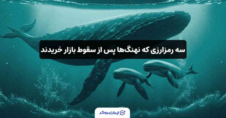 سه رمزارزی که نهنگ‌ها پس از سقوط بازار خریدند