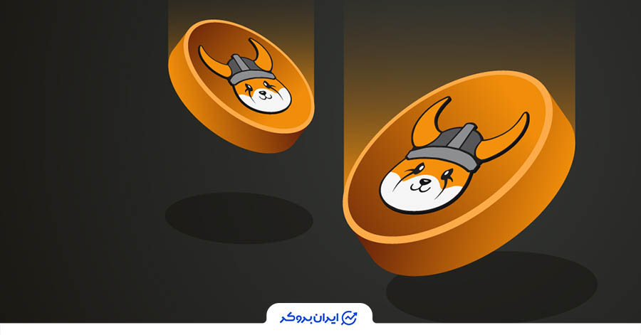 میم کوین فلوکی