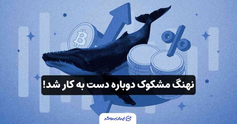 نهنگ مشکوک دوباره دست به کار شد!