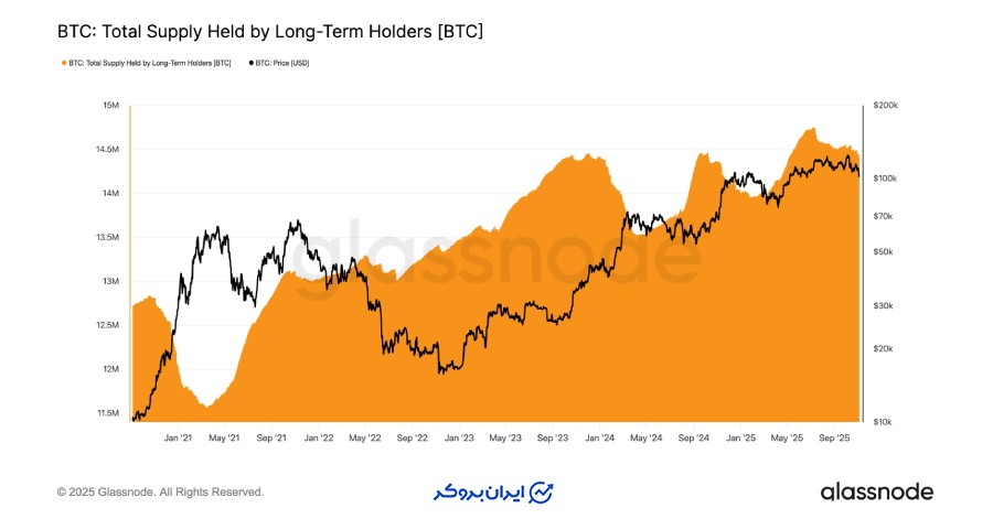 توزیع دائمی از سوی سرمایه‌گذاران بلندمدت