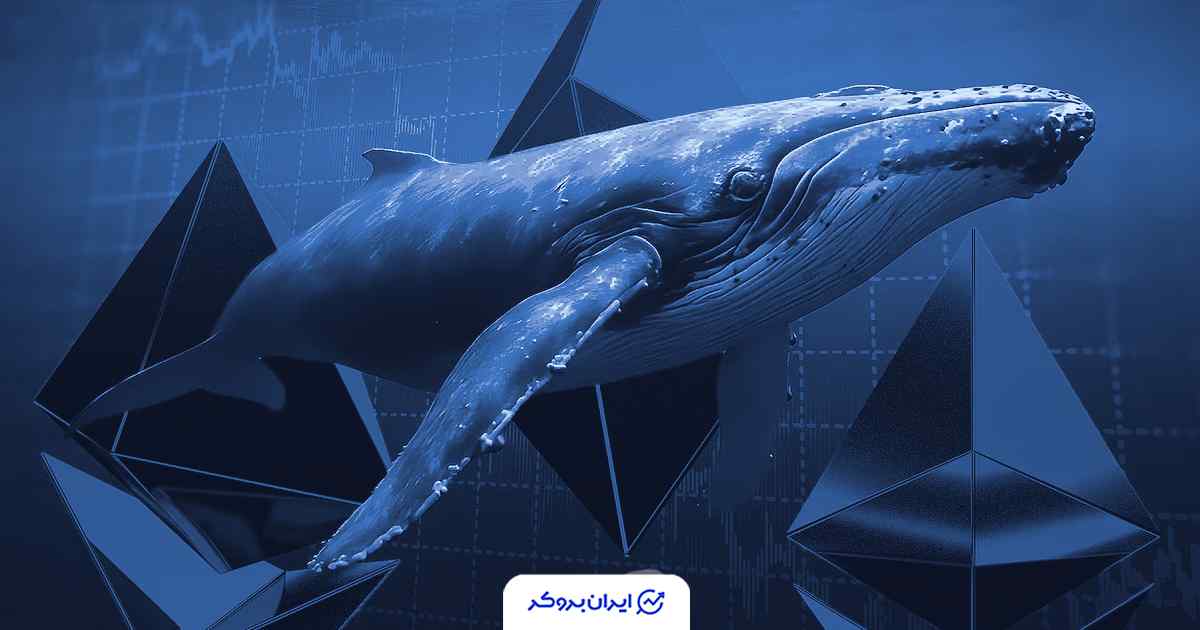 فعالیت نهنگ اتریوم