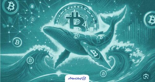 بیداری نهنگ دوران ساتوشی