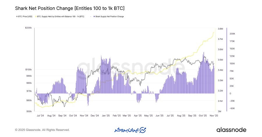 انباشت بیت کوین توسط «نهنگ‌های متوسط»