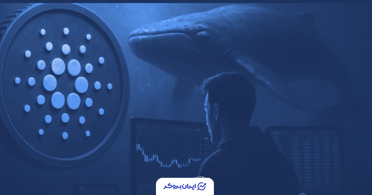 نهنگ‌ها در سقوط بازار ۲۰۰ میلیون دلار کاردانو خریدند