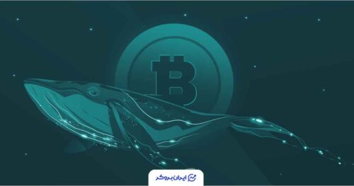 خرید نهنگ های بیت کوین