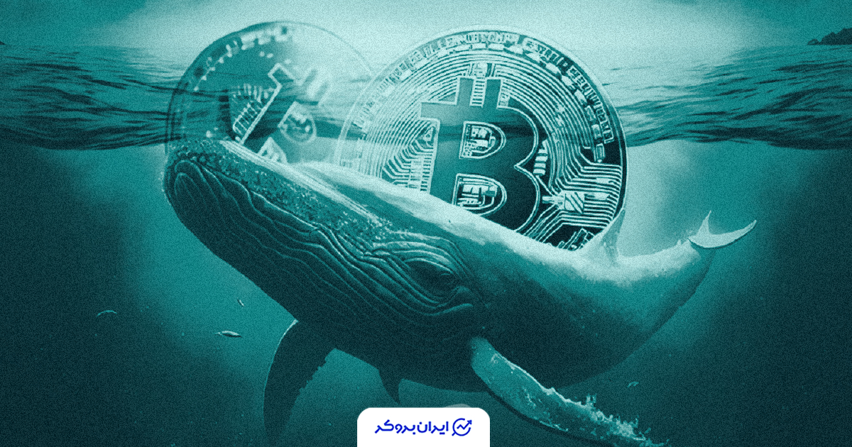 btc whale 5