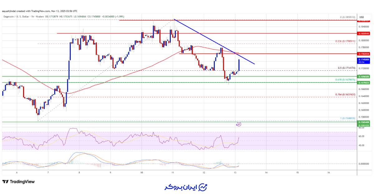 قیمت دوج doge