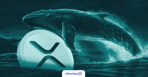 xrp whale 2