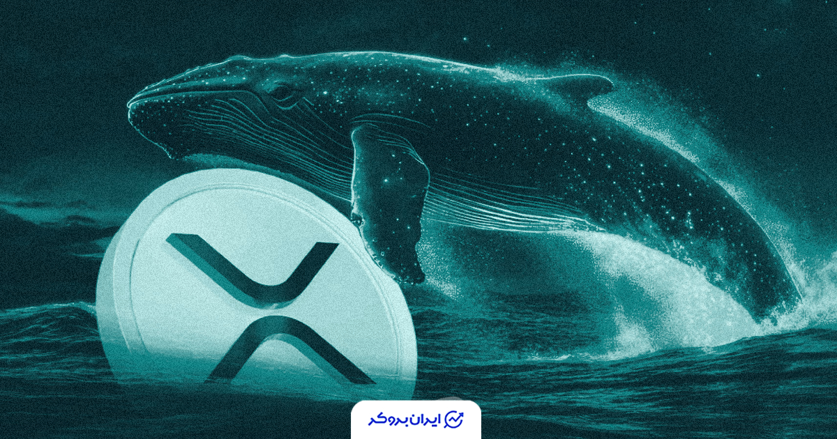 xrp whale 2