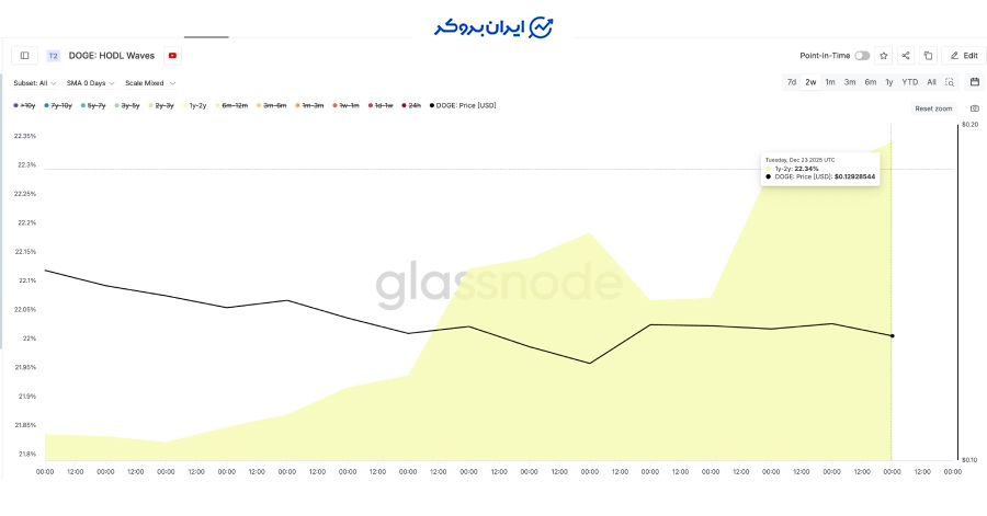 انباشت هولدرهای بلندمدت