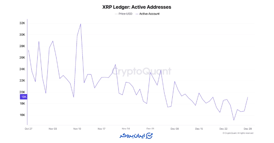 افت شدید فعالیت شبکه