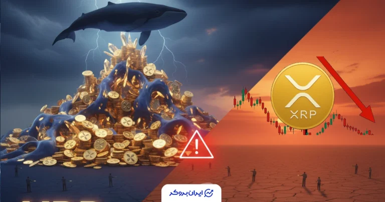 فهرست ثروتمندان XRP فاش شد: آیا سرمایهگذاران خرد از بازار خارج شدهاند؟