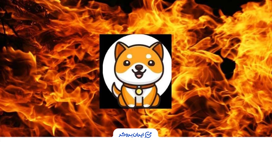 توکن سوزی بیبی دوج