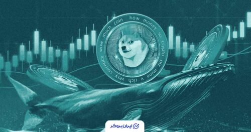 doge whales 2