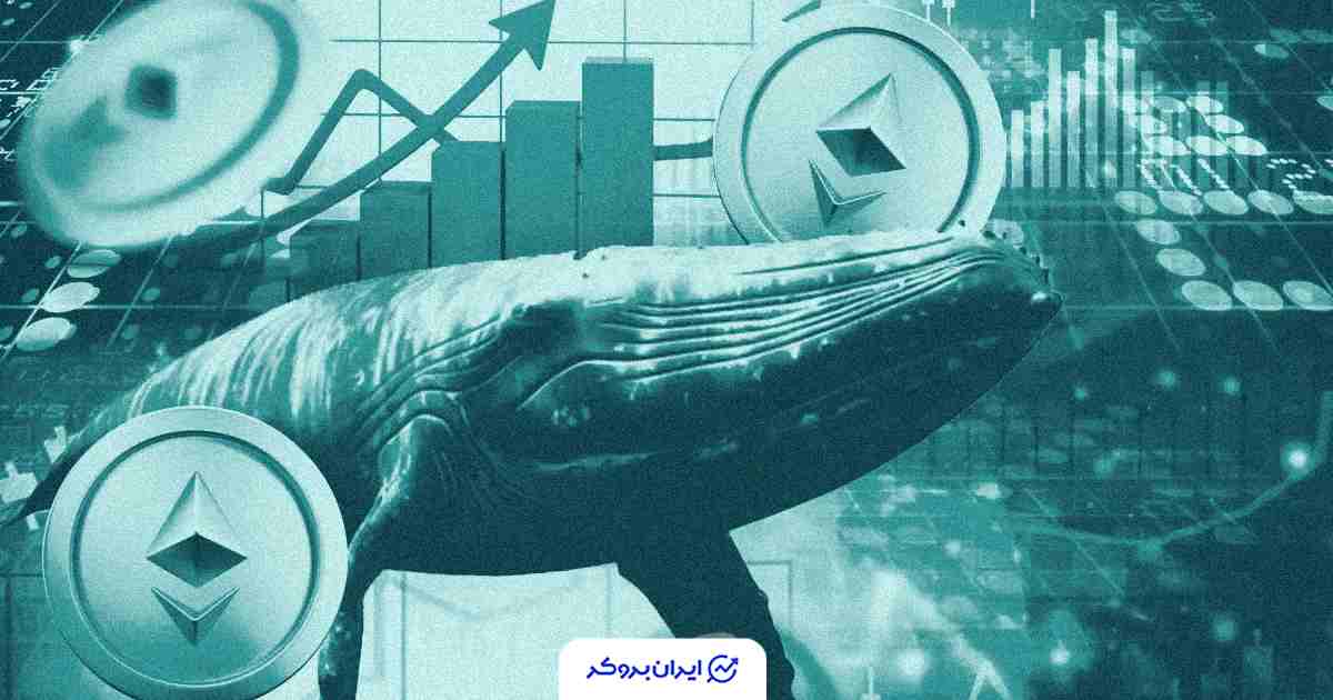 eth whales 6