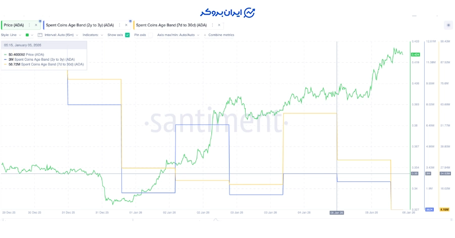 هولدرهای کاردانو