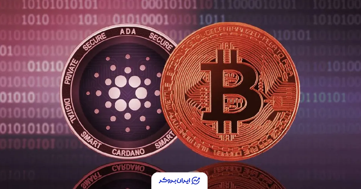 کاردانو و بیت کوین