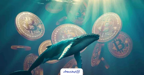 ذخیره نهنگ های بیت کوین
