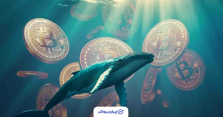 ذخایر نهنگهای بیت کوین به اوج قبل از اکتبر بازگشت