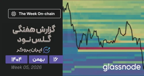 زنگ خطر برای هولدرها! گزارش هفتگی گلسنود ۱۶ بهمن