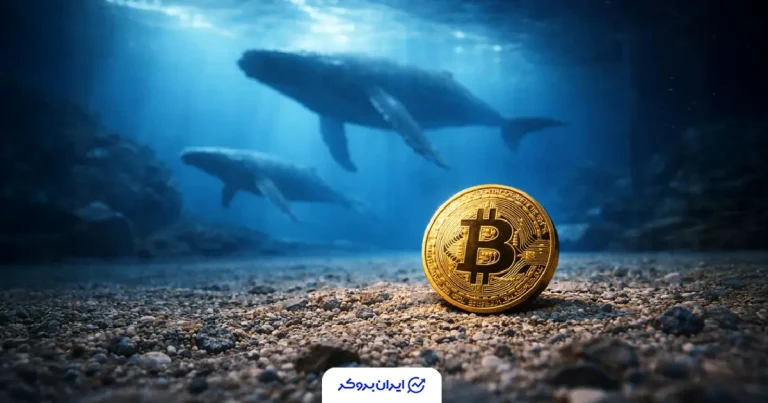 انتقال مشکوک ۶,۵۹۹ بیت‌ کوین به بایننس؛ ترس از ریزش دوباره به بازار برگشت