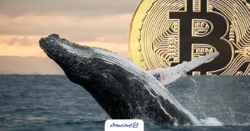 btc whale 1