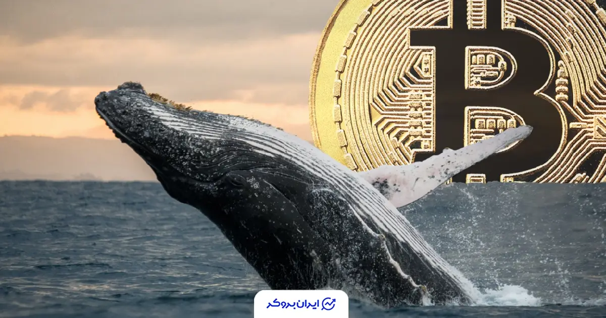 btc whale 1