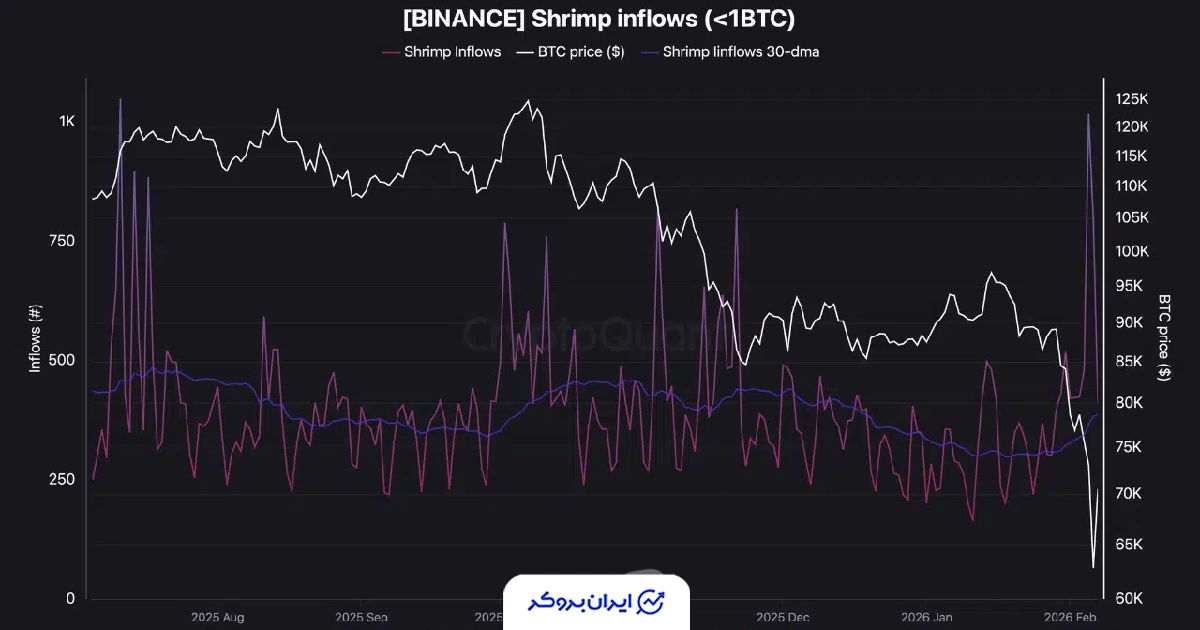 هولدرهای بیت کوین
