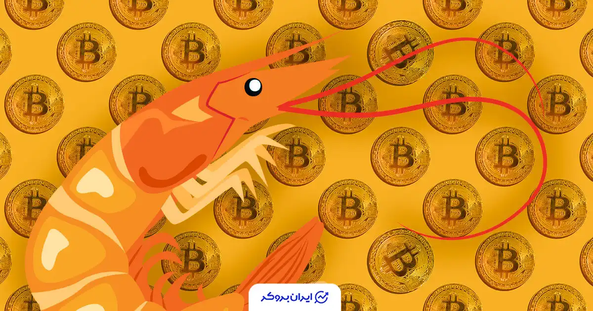 دارندگان خرد بیت کوین