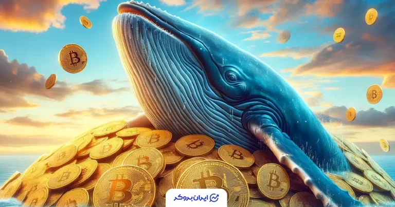 نهنگ‌های بیت کوین در اوج ترس بازار دست به جیب شدند