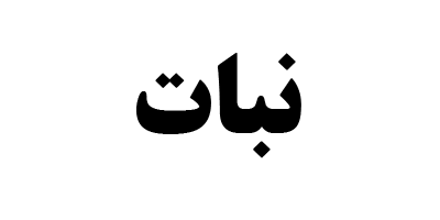 بررسی نبات | صندوق سرمایه گذاری سهامی بخشی صنایع دانایان