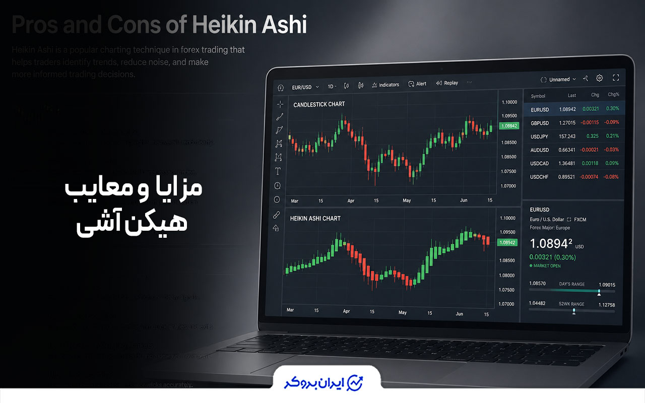 مزایا و معایب هیکن آشی