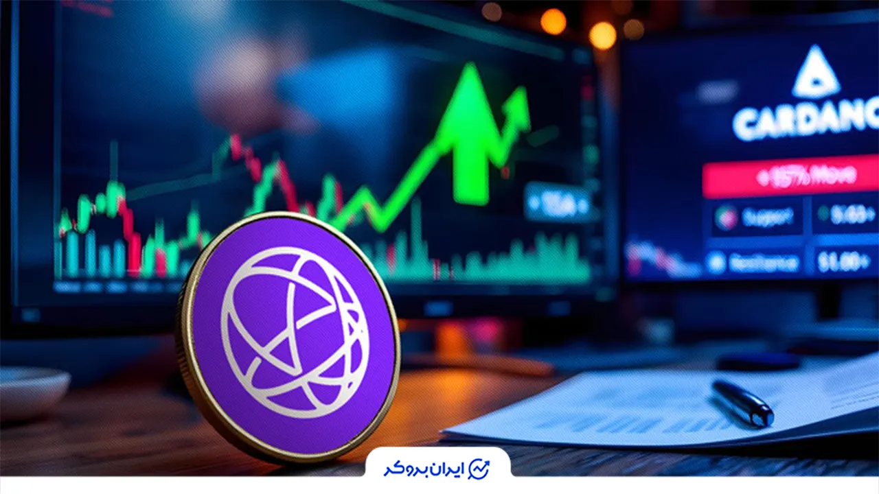 سرمایه گذاری در سلیستیا